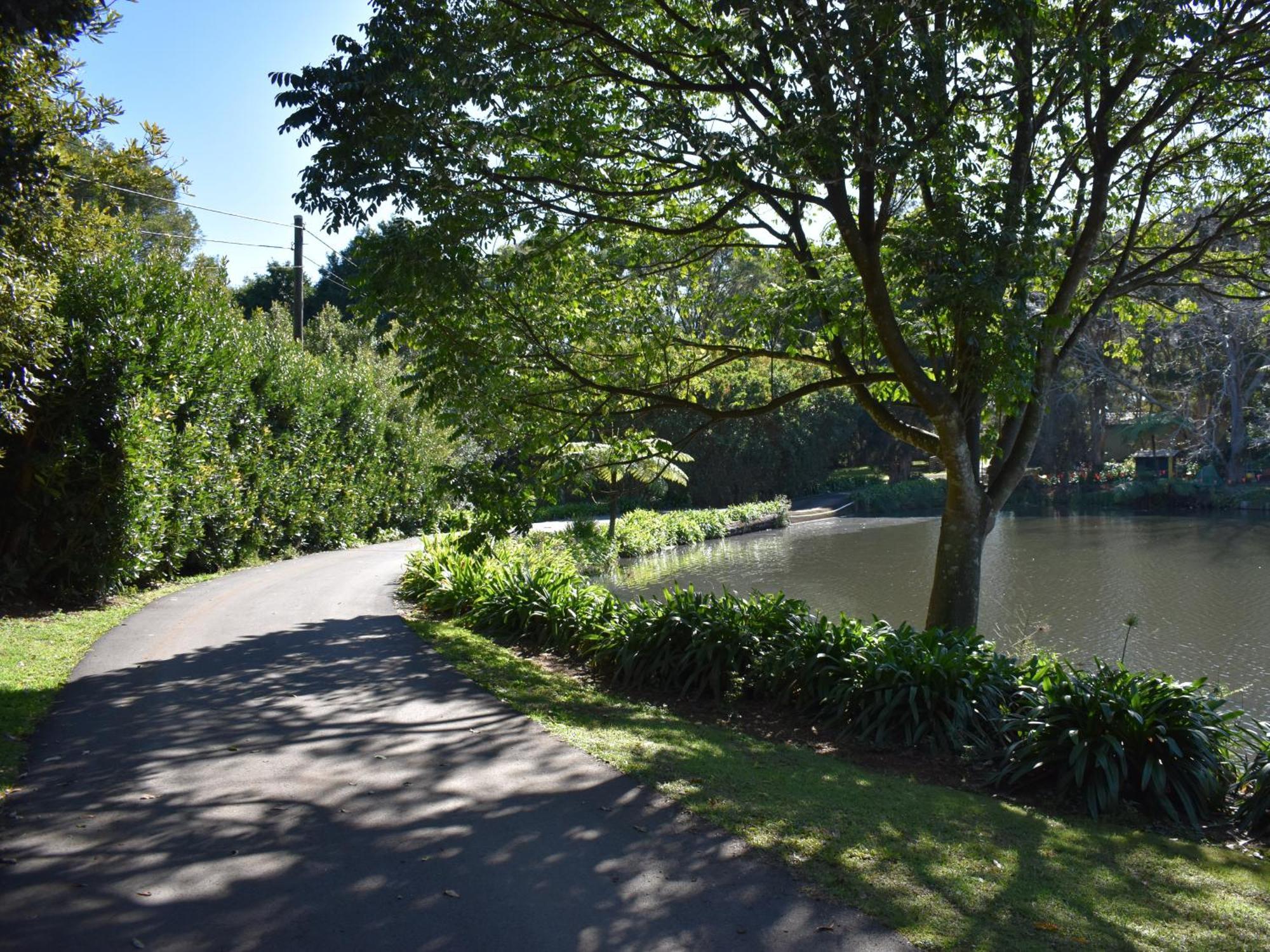 Maleny Homestead & Cottage Екстериор снимка