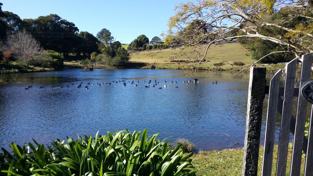 Maleny Homestead & Cottage Екстериор снимка